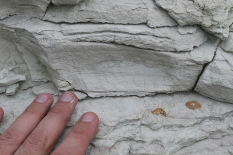 Laminations in the unit displaying spheroidal weathering.  Hand for scale.  Image credit: Bill Mitchell (CC-BY).